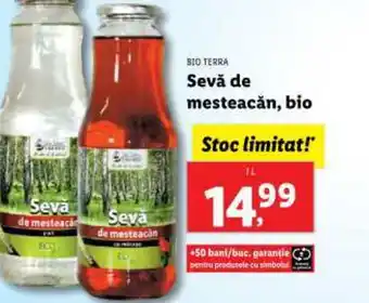 Lidl BIO TERRA Sevă de mesteacăn, bio Ofertă