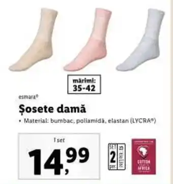 Lidl Șosete damă Ofertă