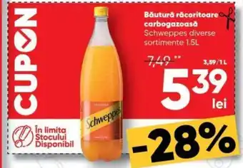 PROFI Băutură răcoritoare carbogazoasă Schweppes Ofertă