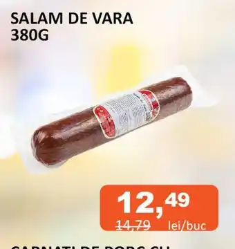 SALAM DE VARA 380G