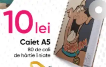 Pepco Caiet A5 Ofertă