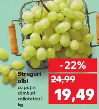 Kaufland Struguri albi Ofertă