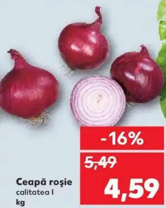 Kaufland Ceapă roşie Ofertă