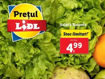 Lidl Salată Batavia Ofertă