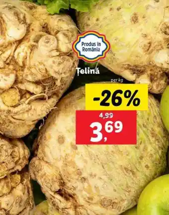 Lidl Telină Ofertă
