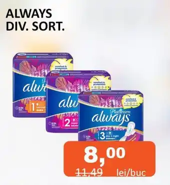 Unicarm ALWAYS DIV. SORT. Ofertă