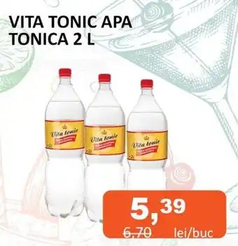 VITA TONIC APA TONICA 2 L