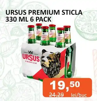Unicarm URSUS PREMIUM STICLA 330 ML 6 PACK Ofertă