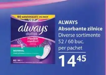 Selgros ALWAYS Absorbante zilnice Ofertă