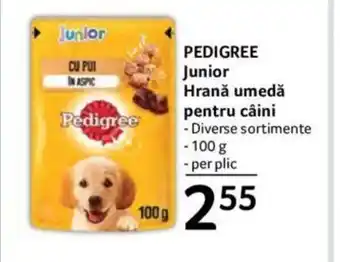 Selgros PEDIGREE Junior Hrană umedă pentru câini Ofertă