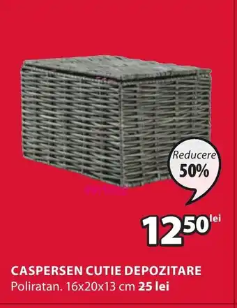 CASPERSEN CUTIE DEPOZITARE