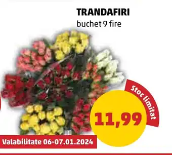 Penny TRANDAFIRI Ofertă