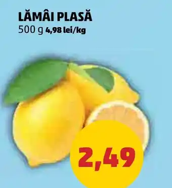 Penny LĂMÂI PLASĂ Ofertă