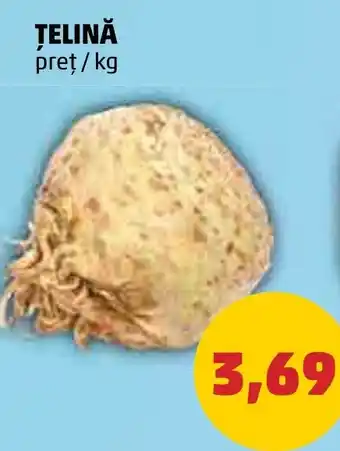 Penny ŢELINĂ Ofertă