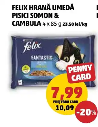 Penny FELIX HRANĂ UMEDĂ PISICI SOMON & CAMBULA Ofertă