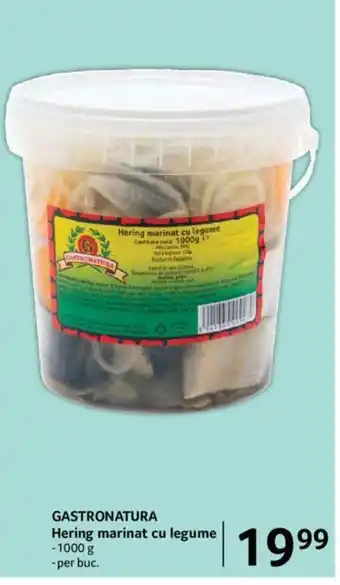 Selgros GASTRONATURA Hering marinat cu legume Ofertă