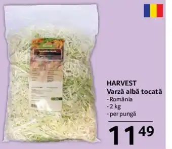 HARVEST Varză albă tocată