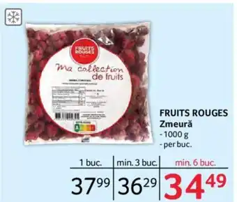 Selgros FRUITS ROUGES Zmeură Ofertă