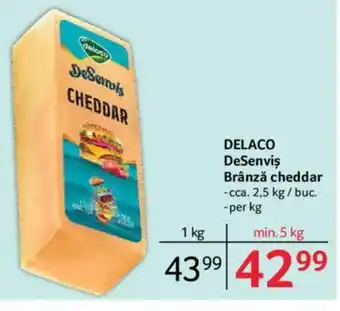 Selgros DELACO DeSenviş Brânză cheddar Ofertă