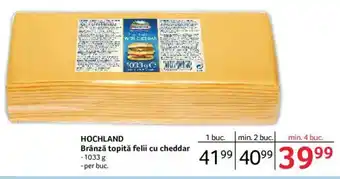 Selgros HOCHLAND Brânză topită felii cu cheddar Ofertă
