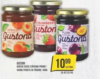 Mega Image GUSTONA GEM DE CAISE/CAPSUNI/PRUNE/ VIŞINE/FRUCTE DE PĂDURE, 450G Ofertă