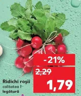 Kaufland Ridichi roşii Ofertă