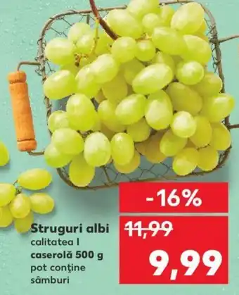 Kaufland Struguri albi Ofertă