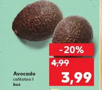 Kaufland Avocado Ofertă