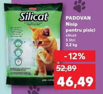 Kaufland PADOVAN Nisip pentru pisici Ofertă