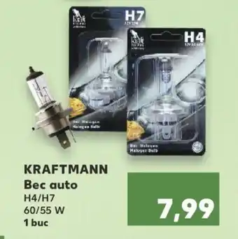 Kaufland KRAFTMANN Bec auto Ofertă