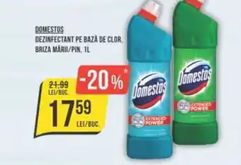 Mega Image DOMESTOS DEZINFECTANT PE BAZĂ DE CLOR. BRIZA MĂRII/PIN, 1L Ofertă
