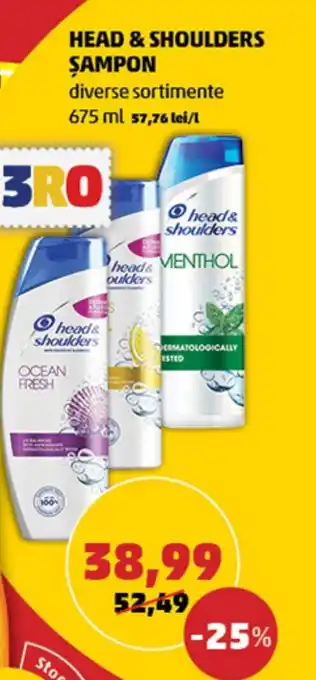 Penny HEAD & SHOULDERS ŞAMPON Ofertă