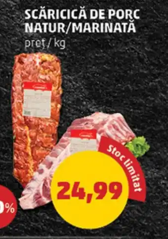 Penny SCĂRICICĂ DE PORC NATUR/MARINATĂ Ofertă