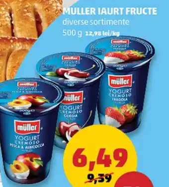 Penny MULLER IAURT FRUCTE 500 g Ofertă