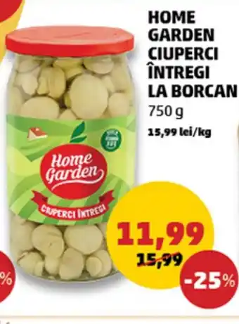 Penny HOME GARDEN CIUPERCI ÎNTREGI LA BORCAN 750 g Ofertă