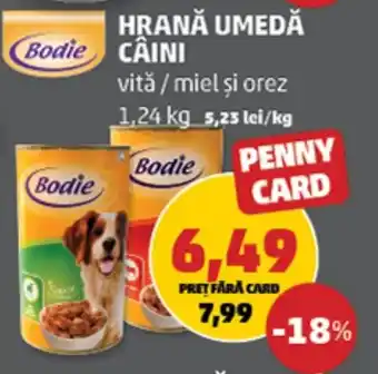 Penny HRANĂ UMEDĂ CÂINI 1.24 kg Ofertă