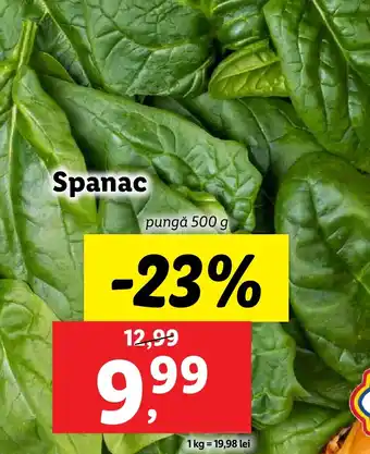 Lidl Spanac Ofertă