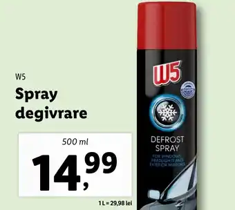 Lidl W5 Spray degivrare Ofertă