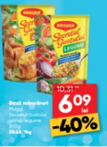 PROFI Bază mâncăruri Maggi Ofertă
