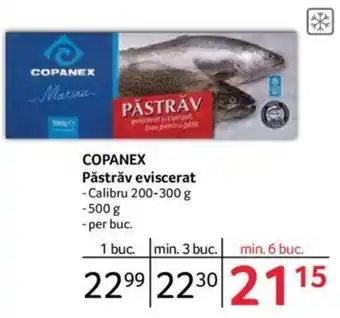 Selgros COPANEX Păstrăv eviscerat Ofertă