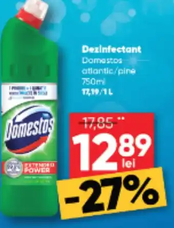 PROFI Dezinfectant Domestos Ofertă