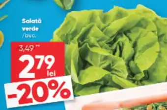 PROFI Salată verde Ofertă