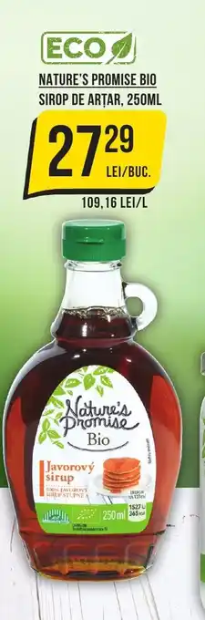 NATURE'S PROMISE BIO SIROP DE ARȚAR, 250ML