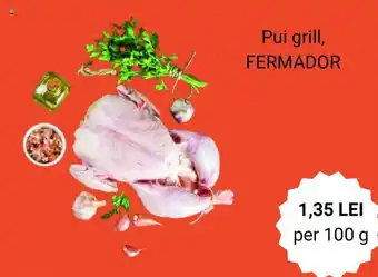 Carrefour Pui grill, FERMADOR Ofertă