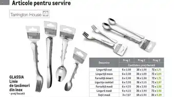 GLASSIA Linie de tacâmuri din inox