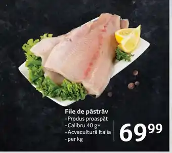 Selgros File de păstrăv Ofertă