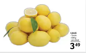 Selgros Lămâi Ofertă