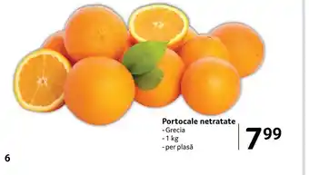 Selgros Portocale netratate Ofertă