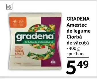 Selgros GRADENA Amestec de legume Ciorbă de văcuță Ofertă