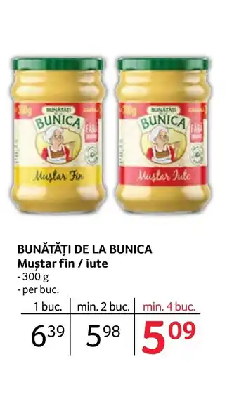 Selgros BUNĂTĂȚI DE LA BUNICA Muştar fin / iute Ofertă
